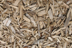 biomass boilers Riggend